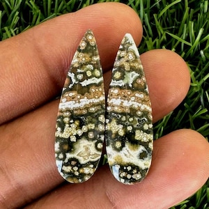 Puede incluir: Dos piedras preciosas en forma de lágrima con un patrón único. Las piedras presentan una mezcla de manchas y remolinos verdes oscuros, marrones y blancos. Las piedras pulidas se sostienen en una mano sobre un fondo de hierba verde.