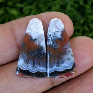 Peut inclure: Deux pierres précieuses polies en forme de goutte d'eau. Les pierres présentent un mélange de couleurs, dont le blanc, l'orange, le noir et le bleu. Les pierres précieuses ont un motif unique et sont posées sur un fond vert flou.