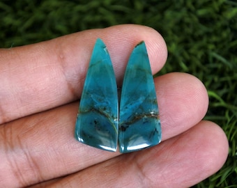 Opalized Petrified Wood Earrings Pair