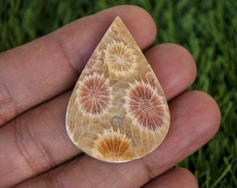 Coral Agate