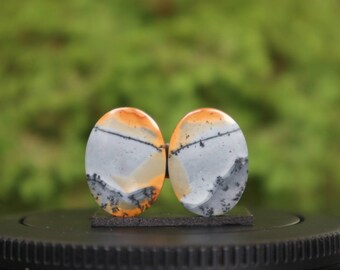 Maligano Jasper Gemstone Pair