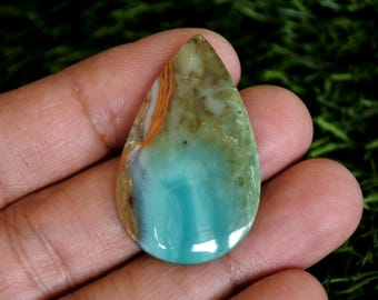 Blue Opalized Petrified Wood