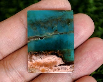 Opalized Petrified Wood