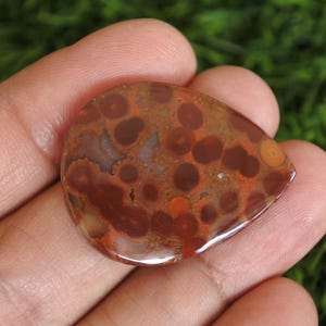 May include: A polished, teardrop-shaped orbicular jasper gemstone featuring a smooth, glossy surface with a distinct pattern of dark brown and reddish-brown circular inclusions set against a warm, earthy, terracotta-coloured background.