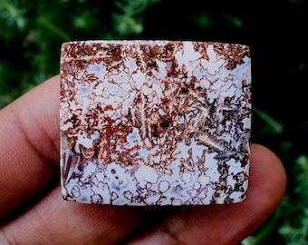 Jaspe Sagenite de Java