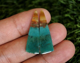 Opalized Petrified Wood Earrings Pair