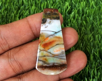Multicolor Opalized Petrified Wood