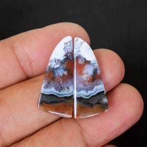 Könnte beinhalten: Ein Paar Achat-Cabochons mit einem weißen, braunen und schwarzen Farbmuster. Die Cabochons sind dreieckig mit abgerundeten Kanten.