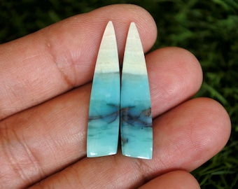 Blue Opalized Petrified Wood Earrings Pair