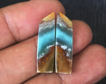 Opalized Wood Earrings