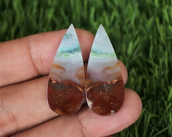 Multicolor Opalized Petrified Wood Earrings Pair