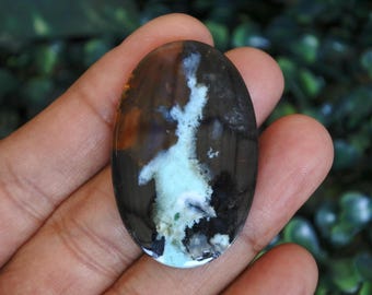 Opalized  Wood