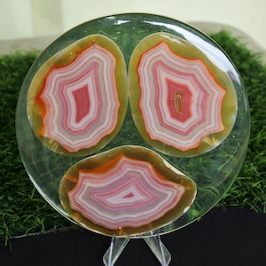 May include: A clear, circular decorative piece with three agate slices. The agate slices feature concentric bands of red, pink, white, and orange, encased in a clear resin. The piece is displayed on a clear stand, showcasing the natural stone patterns.
