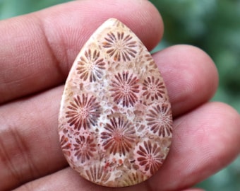 Pedra preciosa de ágata flor de coral: cristal em forma de lágrima (38 x 25,5 x 6,5 mm)