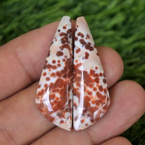 Puede incluir: Dos cabujones de piedras preciosas pulidas con forma de lágrima. Las piedras tienen un color base blanco crema con un patrón de manchas marrón rojizo. Los cabujones se sostienen en una mano sobre un fondo verde.