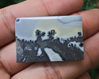 Piedra preciosa de jaspe maligano