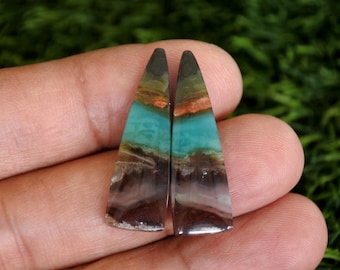 Blue Opalized Petrified Wood Earrings Pair