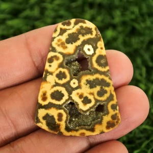 May include: A polished, teardrop-shaped gemstone with a unique pattern of brown and yellow spots. The center reveals a cavity filled with sparkling green crystals. The stone is held in a hand against a blurred green background.