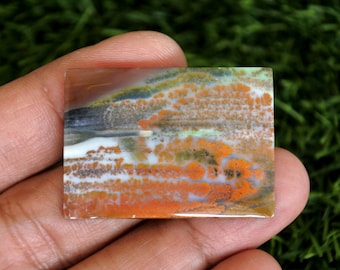 Scenic Multicolour Opalized Wood