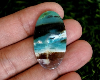 Scenic Blue Opalized Petrified Wood