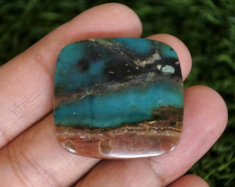 Opalized Petrified Wood