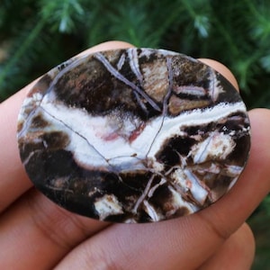 Puede incluir: Piedra pulida de forma ovalada con un patrón único. La piedra presenta una mezcla de colores, incluyendo negro, marrón, blanco y toques de rojo. La superficie tiene un aspecto agrietado y veteado, con finas líneas oscuras.