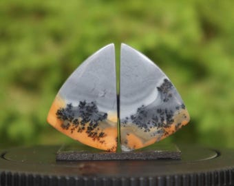 Par de piedras preciosas de jaspe maligano: cristal de ágata