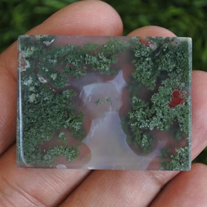 Quadro di gatto in agata muschiata di Giava