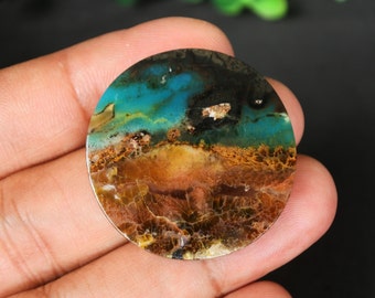 Scenic Blue Opalized Petrified Wood