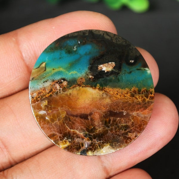 Scenic Blue Opalized Petrified Wood