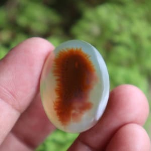Peut inclure: Un cabochon d'agate blanche avec un motif dendritique brun. L'agate est de forme ovale et a une surface lisse et polie.