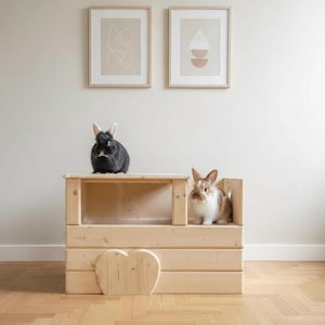 Graafkast voor konijnen | Houten graafkast voor dwergkonijnen uit Duitsland