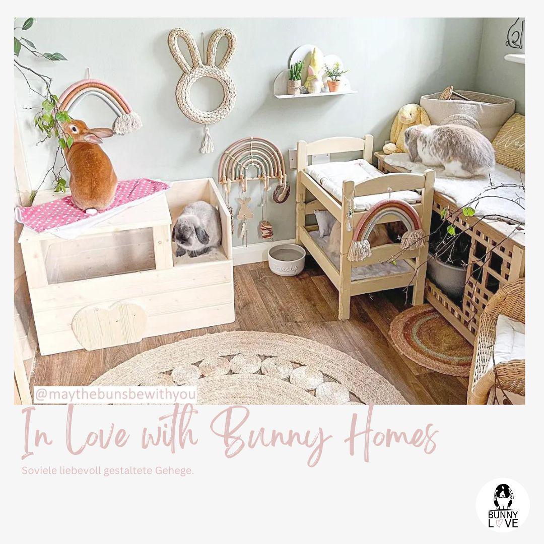 Rabbit Digging Box | Wooden Digging Box for Dwarf Rabbits From Germany ...