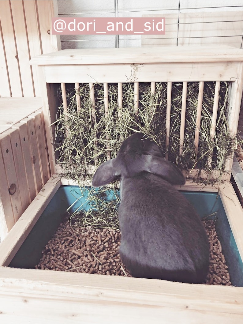 Hay Rack and Toilet Set for Rabbits in 2 Sizes | Wood - Etsy UK
