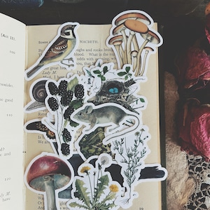 May include: A collection of die-cut stickers featuring illustrations of a bird, a cluster of mushrooms, a snail, blackberries, a bird nest with blue eggs, a mouse, a butterfly, a red-capped mushroom, a dandelion, and a green plant.