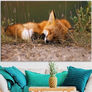 Sleeping Fox Canvas Wall Art - Rustic Canvas Wall Art, Ready to Hang - Animal Wall Art - Framed Farmhouse Wall Art Decor Artwork Print