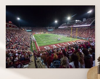 Grizzly Stadium American Football Wall Art Canvas Print, Game Room