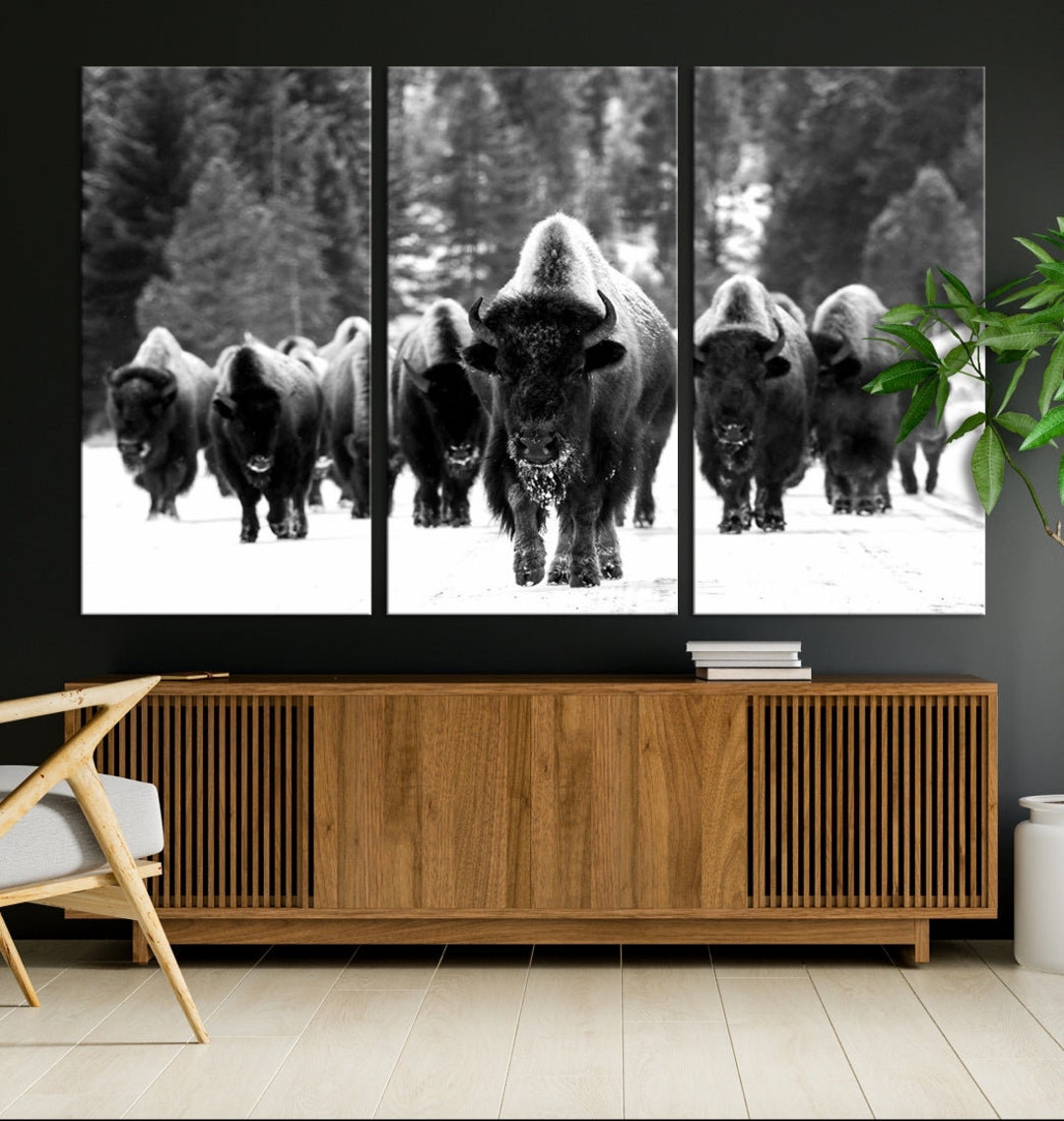 Bison Herd Canvas Print - Black and White Rustic Wildlife Wall Art - Etsy