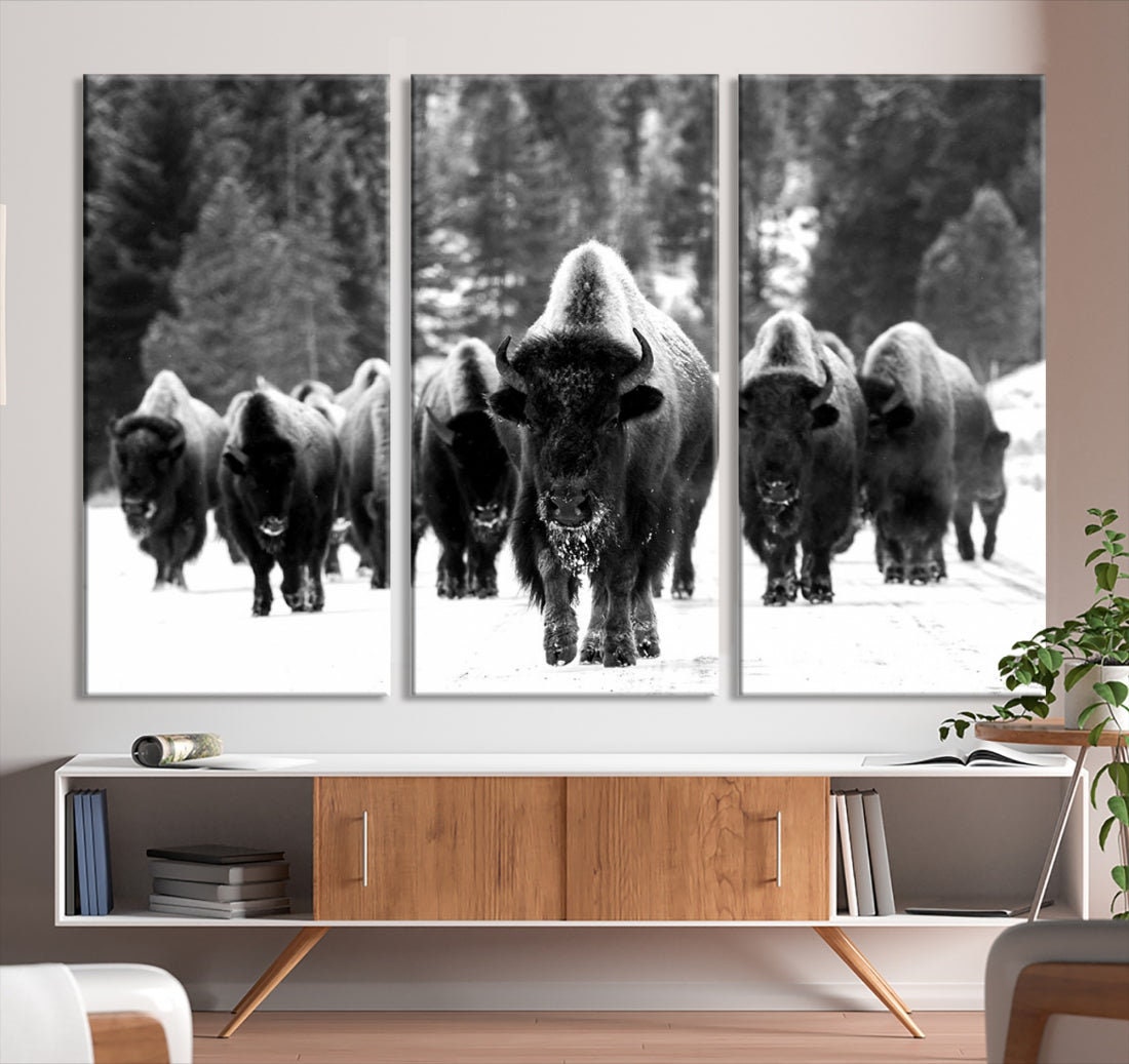 Bison Herd Canvas Print - Black and White Rustic Wildlife Wall Art - Etsy