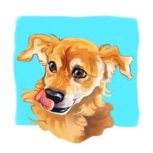 Custom Pet Illustration