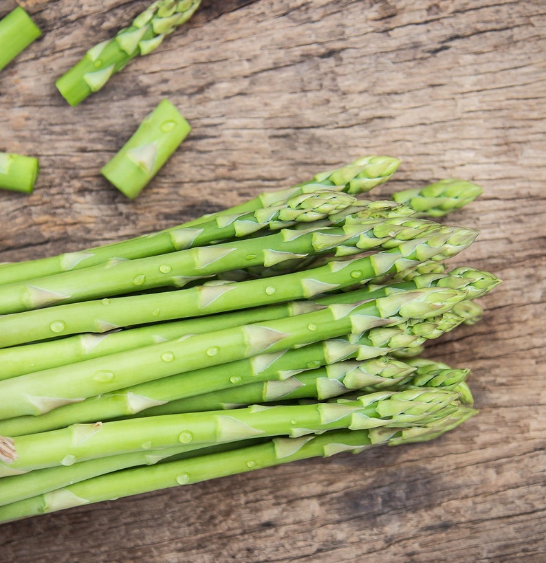 6pack Asparagus Live Plant Plugs not Just Asparagus Crowns Etsy