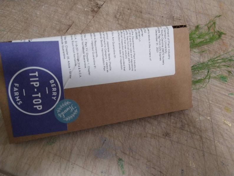 May include: A brown paper envelope with a blue and white label that says "Berry Tip-Top Farms". The envelope has a green leafy plant sticking out of the top.
