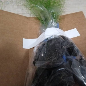 May include: A potted plant with green foliage wrapped in clear plastic and brown paper. The plant is tied with white tape and has a blue ribbon.