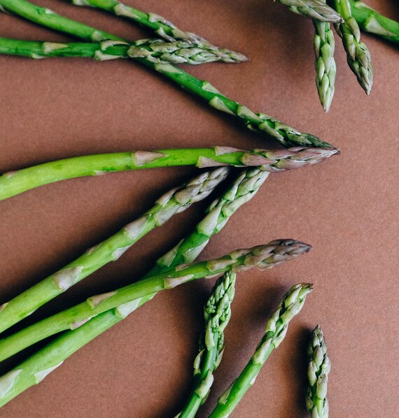 9pack Asparagus Live Plant Plugs Free Shipping Mary Etsy