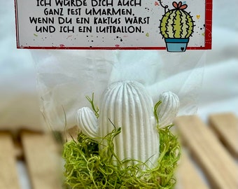 Kaktus - Muttertag - Mitbringsel- Gastgeschenk -Kleinigkeit- kleiner Gruß - Tischdekoration -Liebeserklärung- lustig- Geburtstag