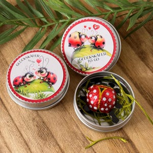 Könnte beinhalten: Drei kleine, runde, silberne Dosen mit rot-weißen Etiketten mit Cartoon-Marienkäfern. Auf den Etiketten steht "Glückskäfer to go". Eine Dose enthält einen folienverpackten Schokoladen-Marienkäfer. Die Dosen stehen auf einer Holzoberfläche mit grünen Blättern.