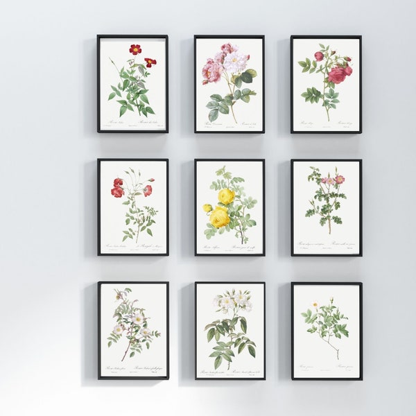 Set of 9, Vintage Botanical Wall Art, Roses collection ,The ladies flower-garden, Instant Download, Antique Botanical, Wild flowers art