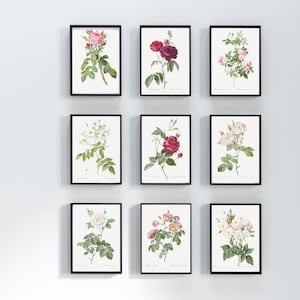 Set of 9, Vintage Botanical Wall Art, The ladies flower-garden, Roses collection, Instant Download, Antique Botanical, Wild flowers art.