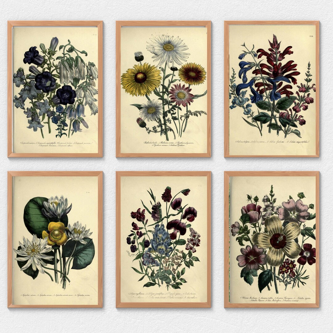 Vintage Botanical Print Set, Wildflower Garden Collection (digital ...