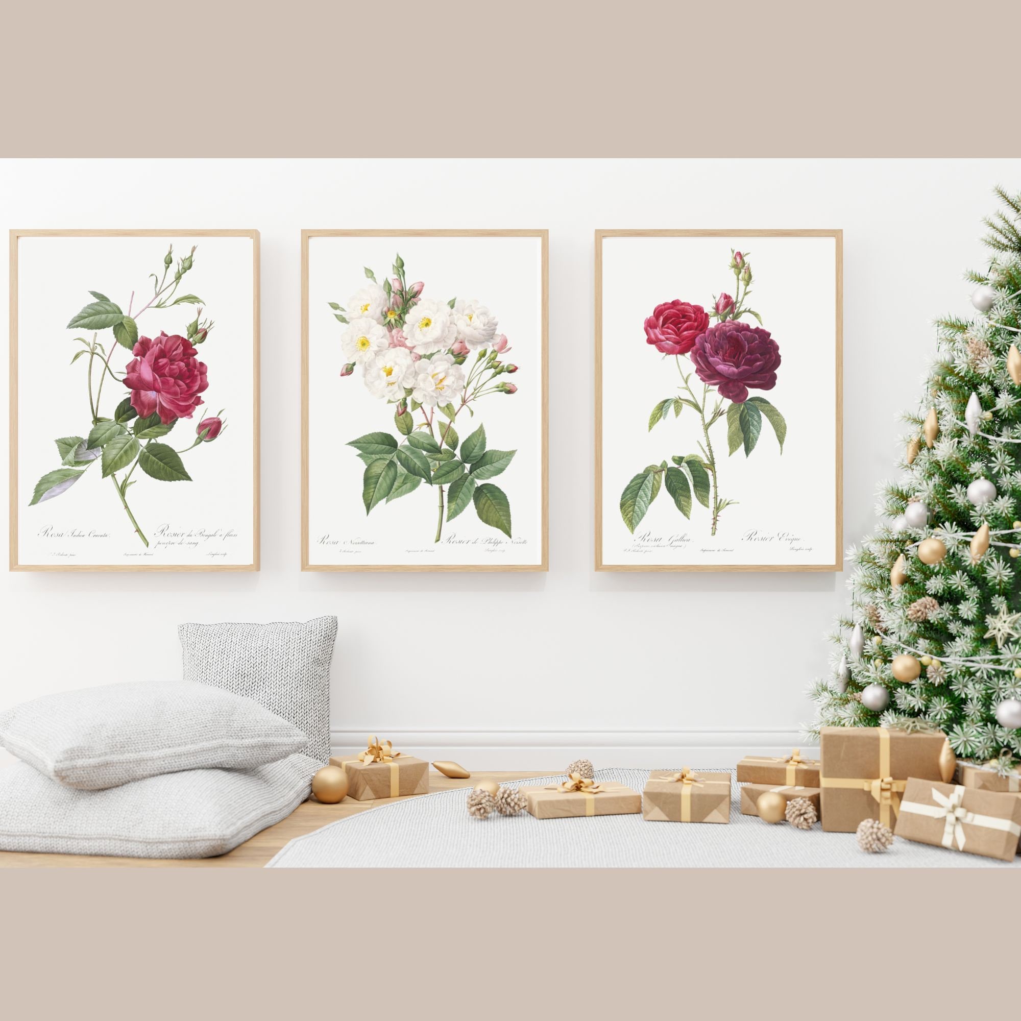 Set of 9, Vintage Botanical Wall Art, the Ladies Flower-garden, Roses ...